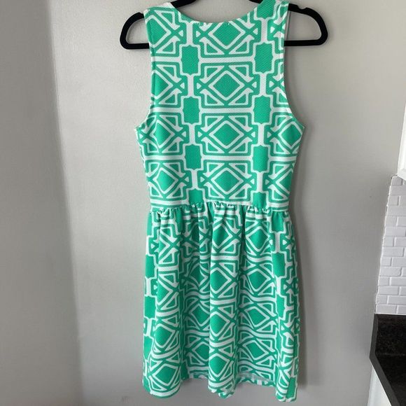 EUC, Francesca's Dress, Size L - Picture 5 of 5